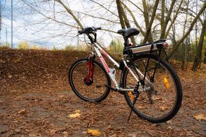 Wheeler 2600 Cross - konwersja na elektryczny z zestawem Rapid S500 "City"